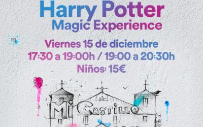 Harry Potter Magic Experience